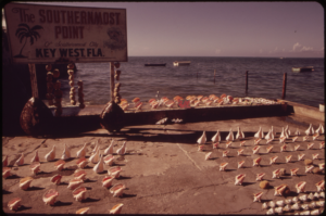Historic Southernmost Point sign and seashells for sale, Key West